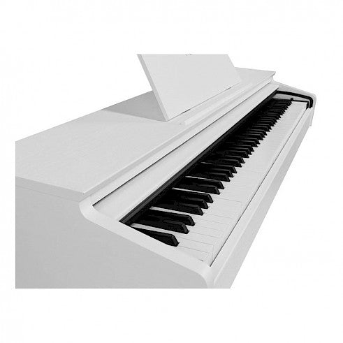 Medeli - DP260