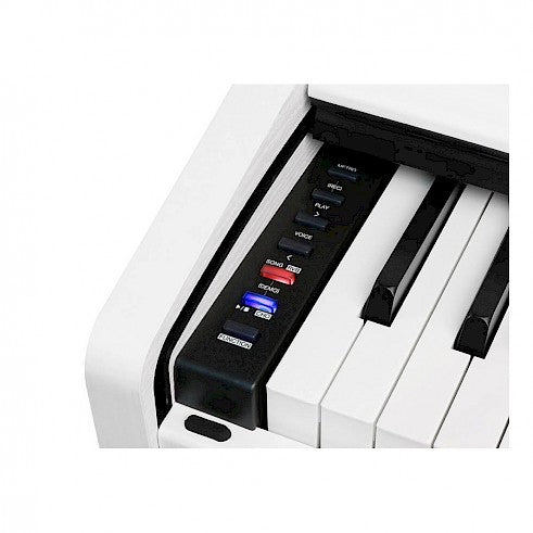 Medeli - DP260